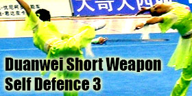 Wushu Grading Form - Duanwei Short Weapon Self Defense 3