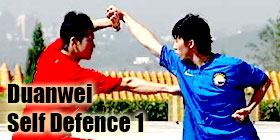 Self Defence 1