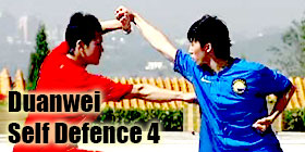 Wushu Grading Form - Duanwei Self Defense 4