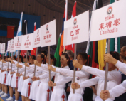 International Wushu Competition