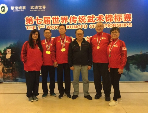 2017 World Kung Fu Championships